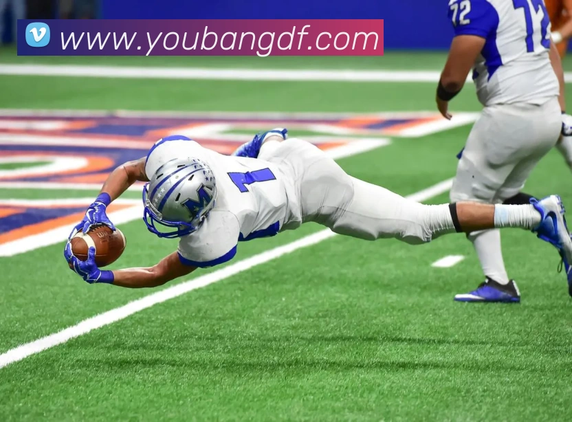 App Interface Preview